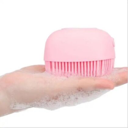 Shower Brush With Soap